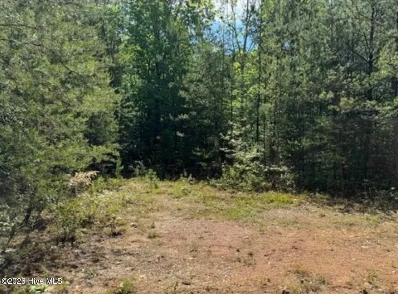 Residential Lot at 14 Tyler Lane, Marble, NC 28905, photo 3 of 4