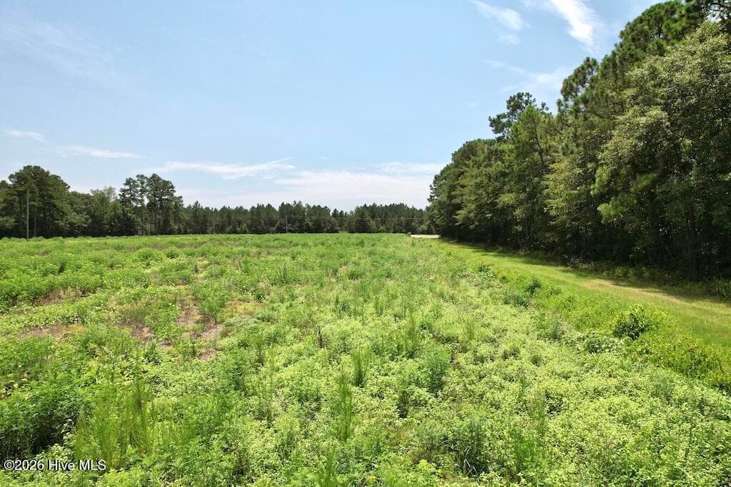 Mixed Use at 00 Ward Town Road S, Whiteville, NC 28472, photo 40 of 49