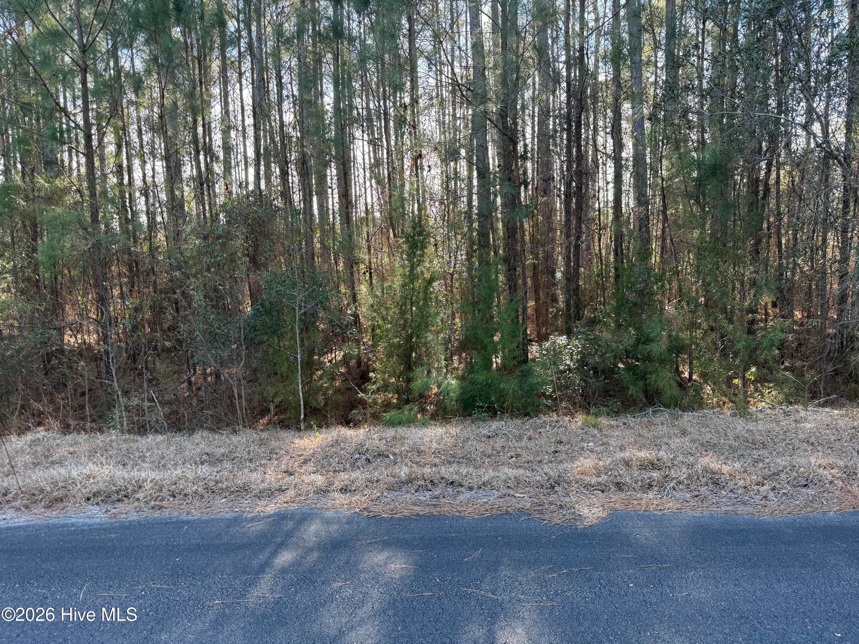 120 Water Oak Drive, Oriental, NC 28571
