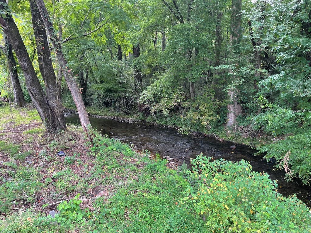 Land at 00 Highway 19, Andrews, NC 28901, photo 8 of 20