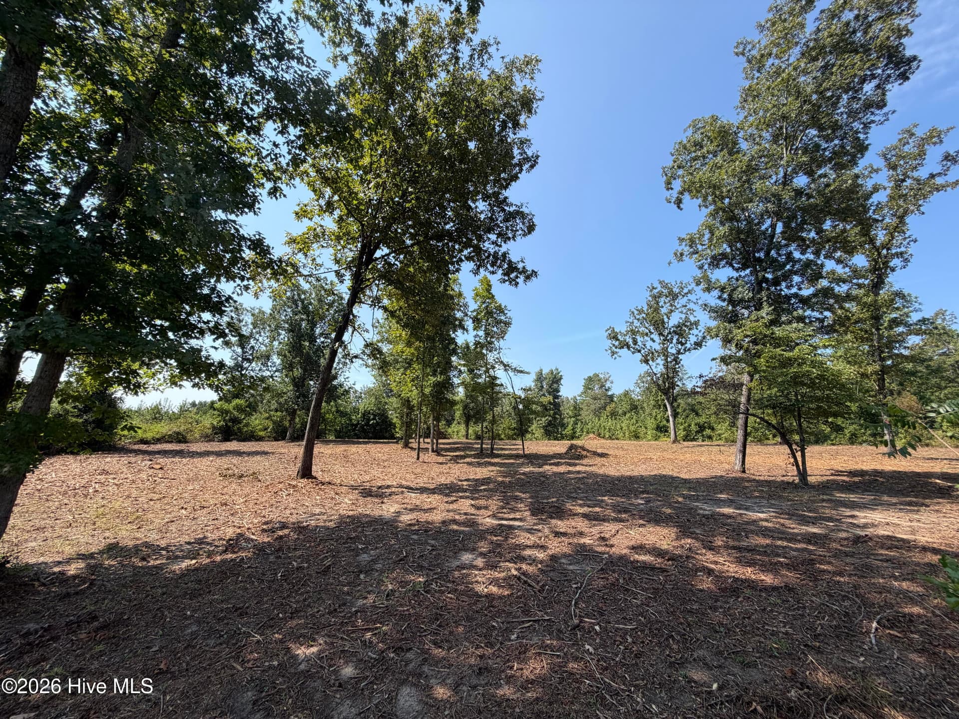 Residential Lot at 0 0 Poole Melton Road, Blythe, GA 30805, photo 3 of 15