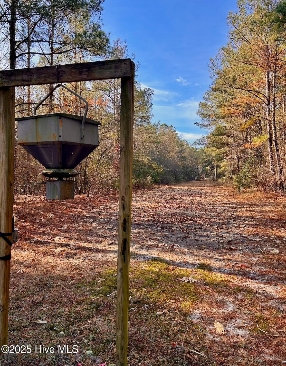 Tbd Moon Johnson Road, Roseboro, NC 28382