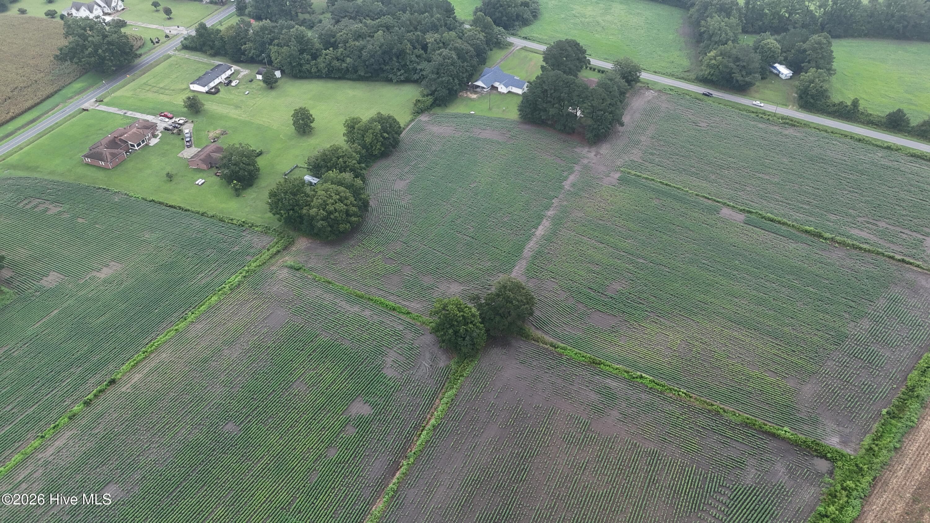Agriculture at Near 128 Bay Rd., Rose Hill, NC 28458, photo 12 of 21