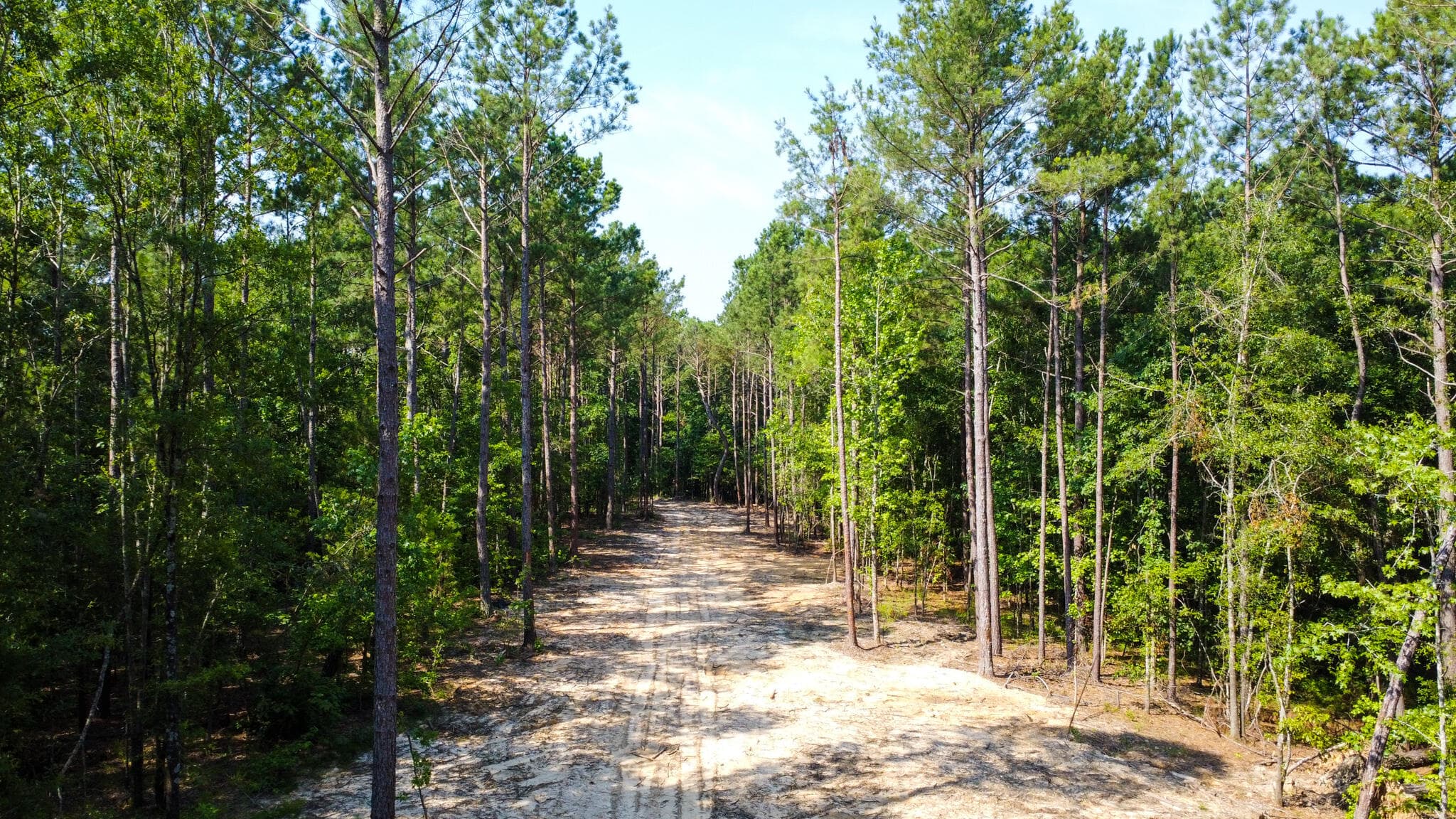 Undeveloped at 0 Backway Road, Lincolnton, GA 30817, photo 23 of 48