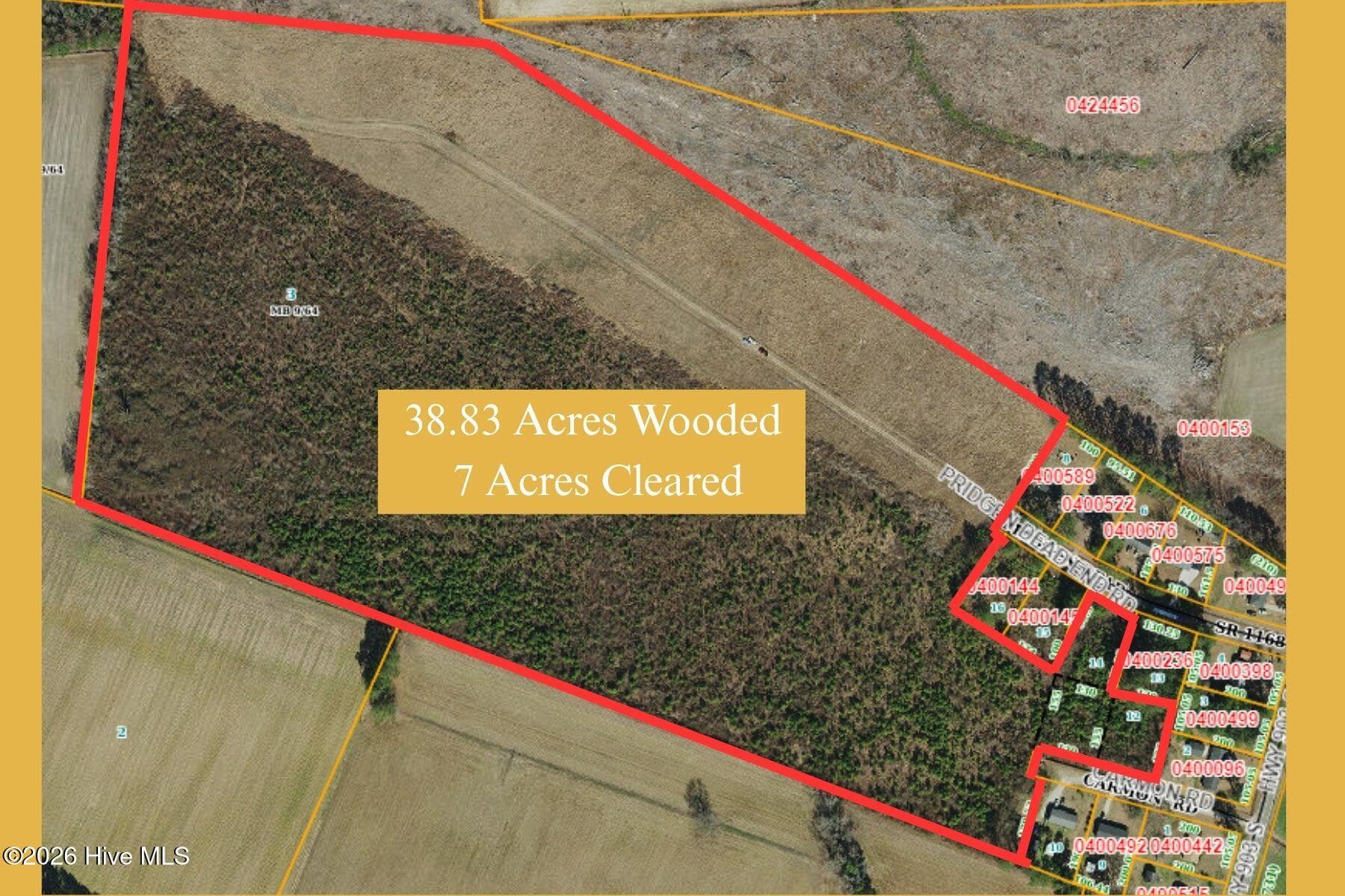 Undeveloped at Tbd Pridgen Dead End Road, La Grange, NC 28551