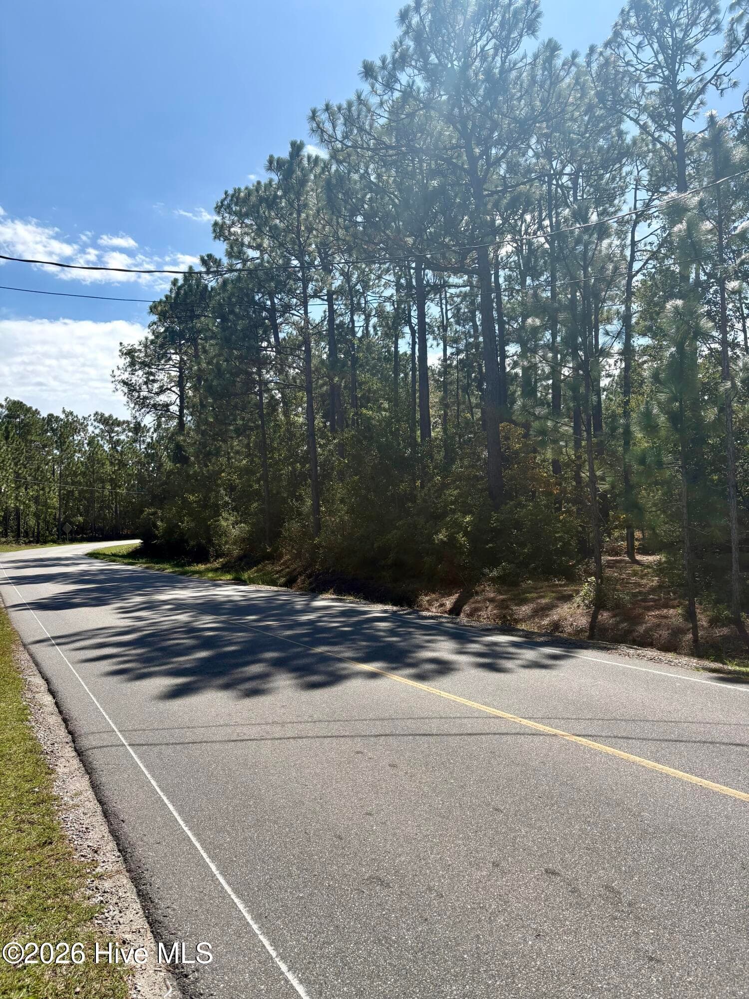 Wooded at L-80/81 80/81 Nassau Road, Boiling Spring Lakes, NC 28461, photo 6 of 11