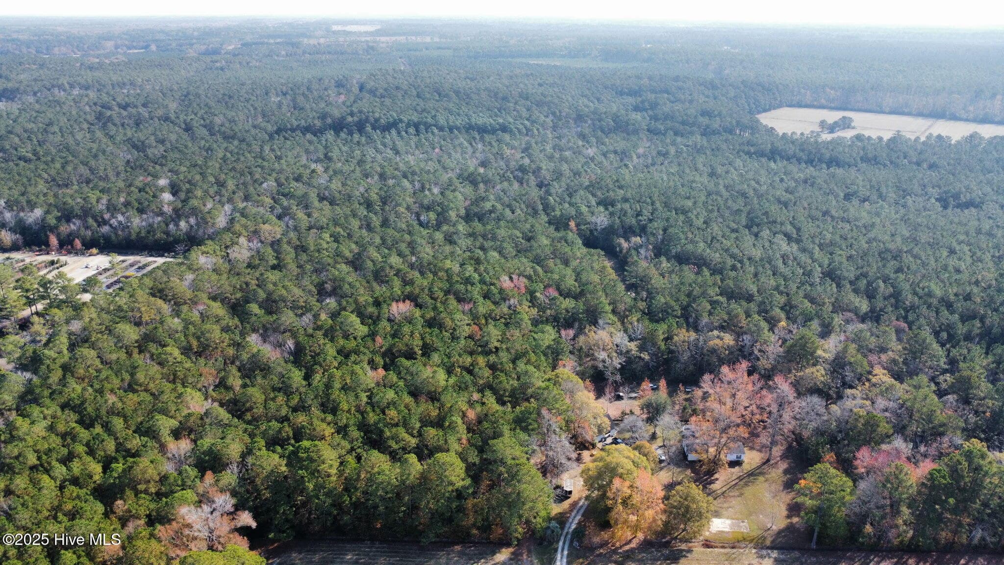 Wooded at Tbd Ash Little River Road NW, Ash, NC 28420, photo 13 of 15