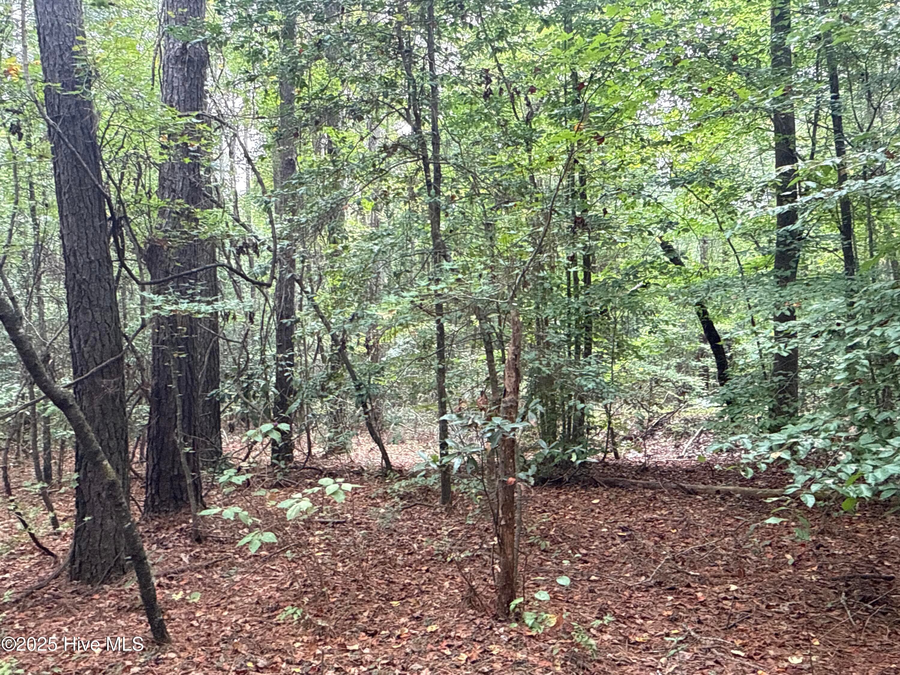 Recreation at 0 Creekmur Road, Edward, NC 27821, photo 7 of 13