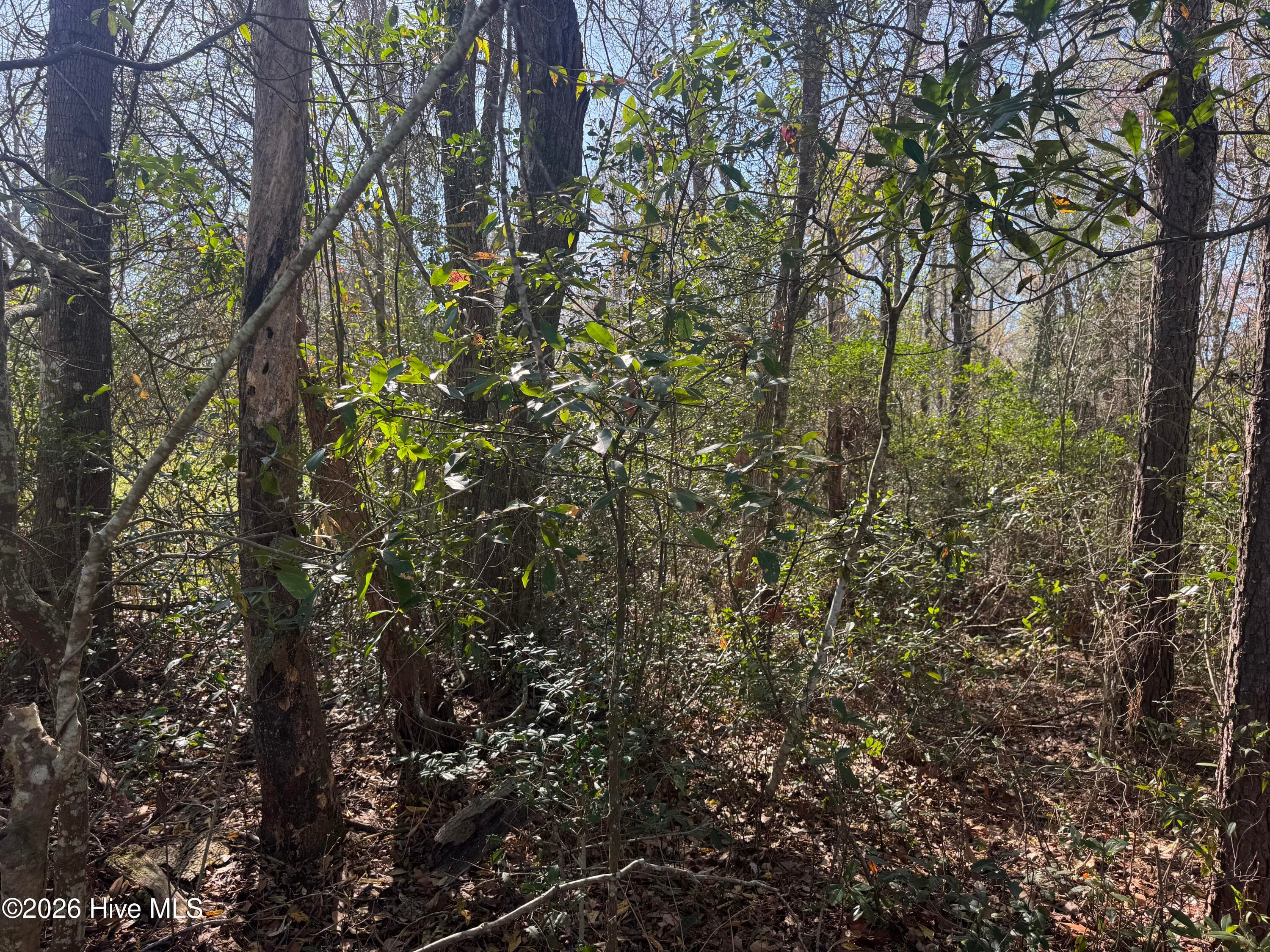 Mixed Use at 0 2 & 3 Little Prong Road NW, Ash, NC 28420, photo 7 of 7