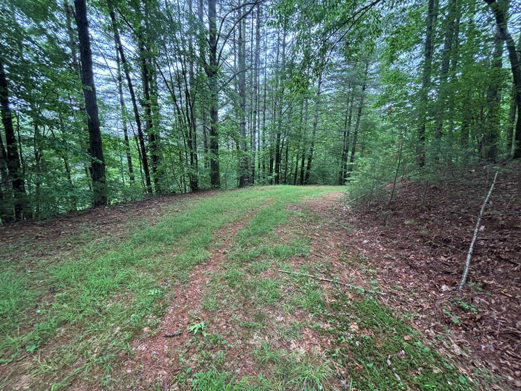 Land at Lot 11 Horse Camp Drive, Hayesville, NC 28904, Hayesville, photo 7 of 11