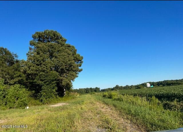 Farm at 0 Nc 111, Goldsboro, NC 27534, photo 3 of 11