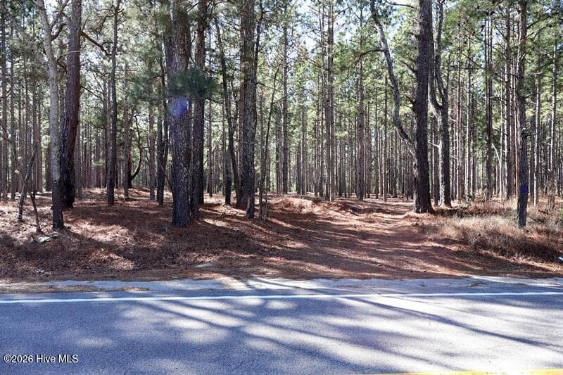 Wooded at Tbd 3 Nc Hwy 130 Road, Fairmont, NC 28340, photo 7 of 8