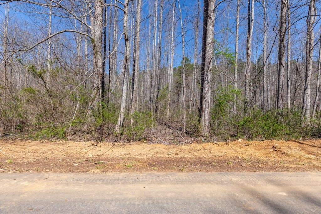 Land at Lots 12+ Tusquittee Crossing, Hayesville, NC 28904, Hayesville, photo 4 of 14