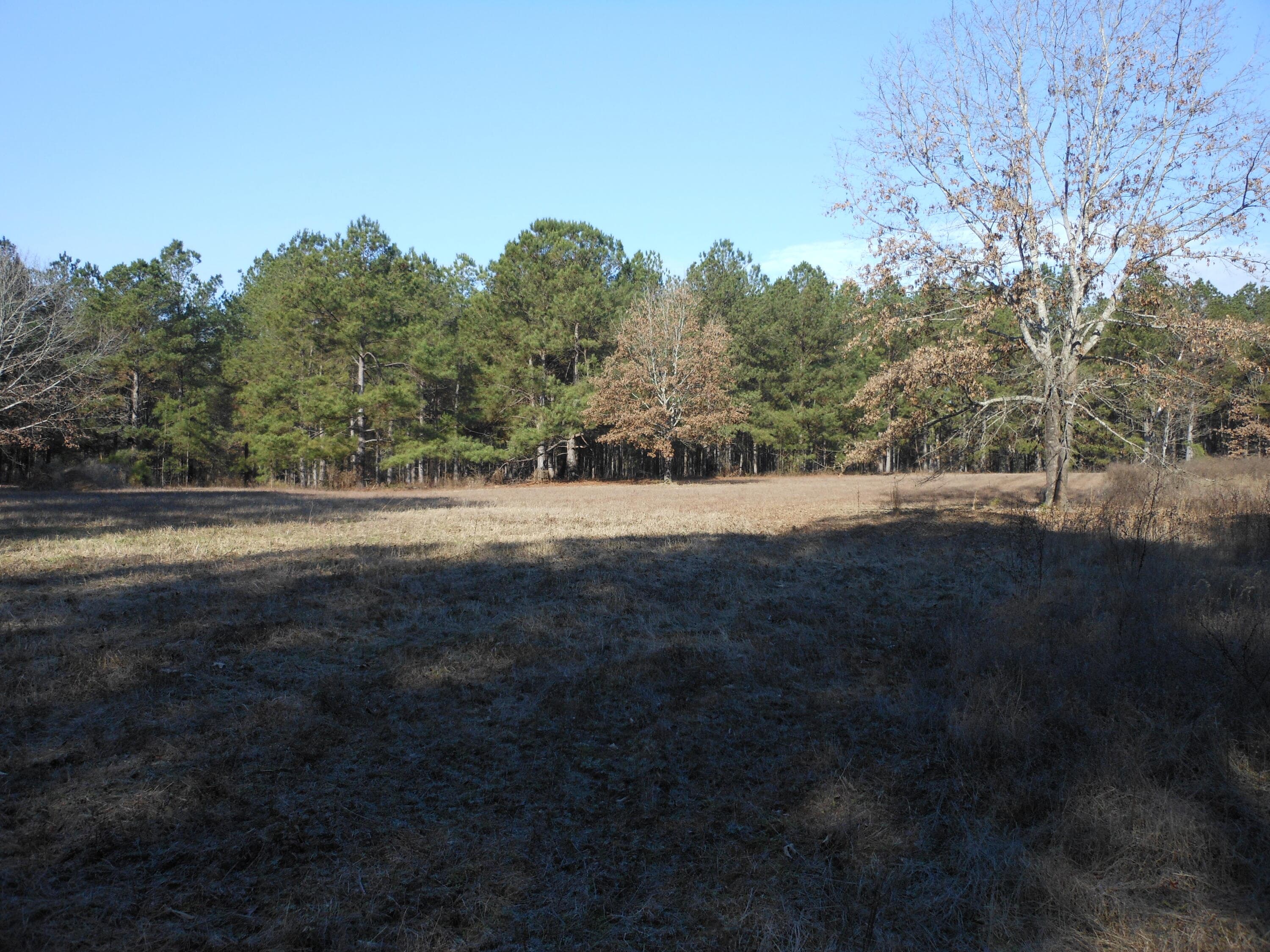 Undeveloped at 0 Ponderosa Road, Waynesboro, GA 30830, photo 19 of 45