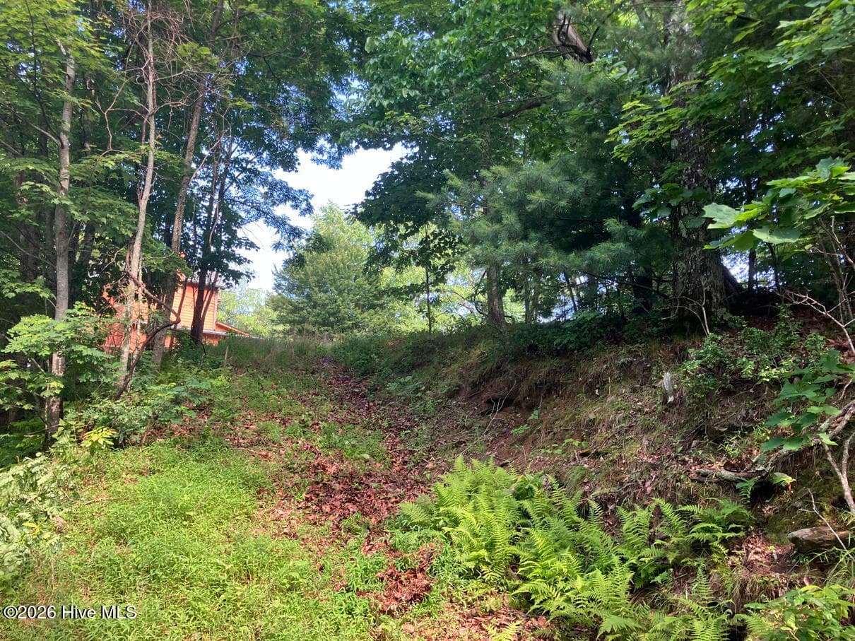 Residential Lot at Lot 51 51 Buck Ridge Drive, Murphy, NC 28906, photo 5 of 10