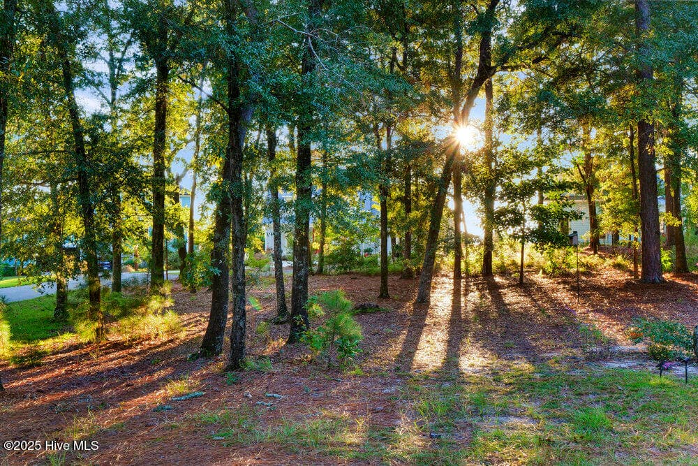 Double lot - in front of home - 3623 White Cliffs Drive, Castle Hayne, NC 28429