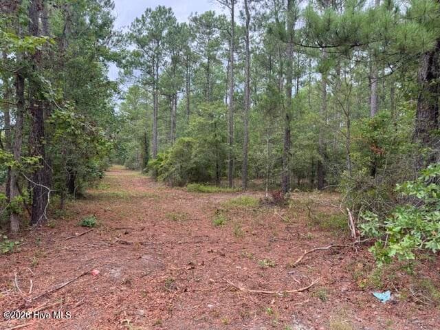 0 1 Nc Highway 210 Road, Currie, NC 28435