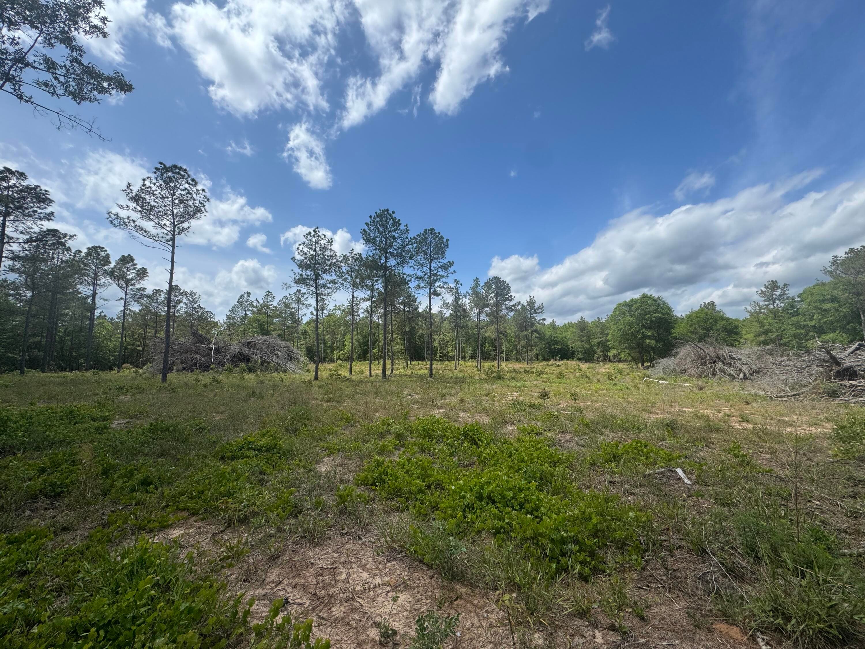 Undeveloped at 745 Wright Allen Road, Blythe, GA 30805, photo 16 of 18