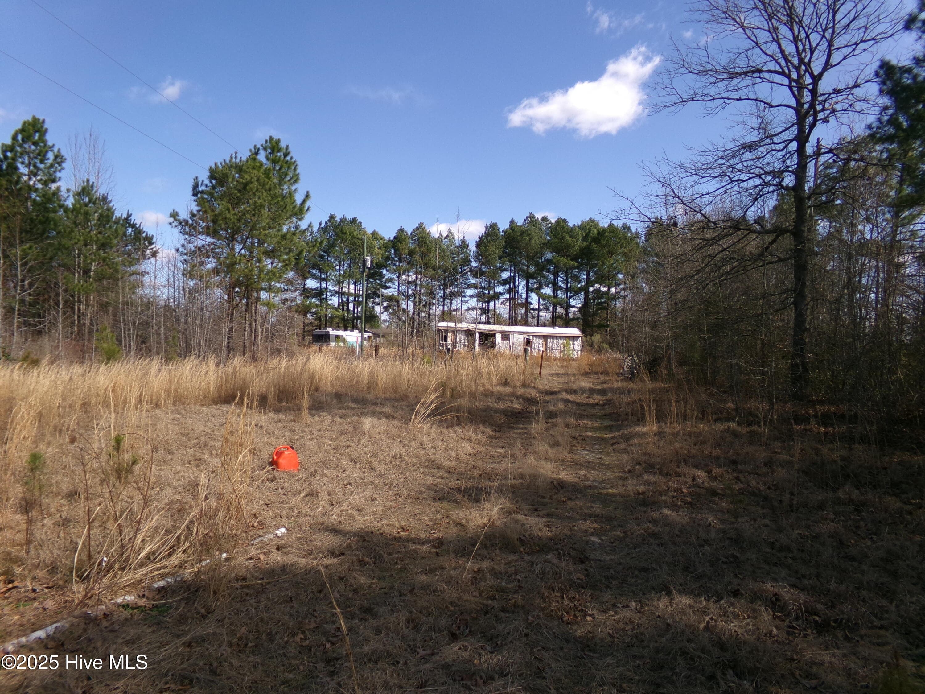 Wooded at 4766 Old Wire Road, Red Springs, NC 28377, photo 3 of 14