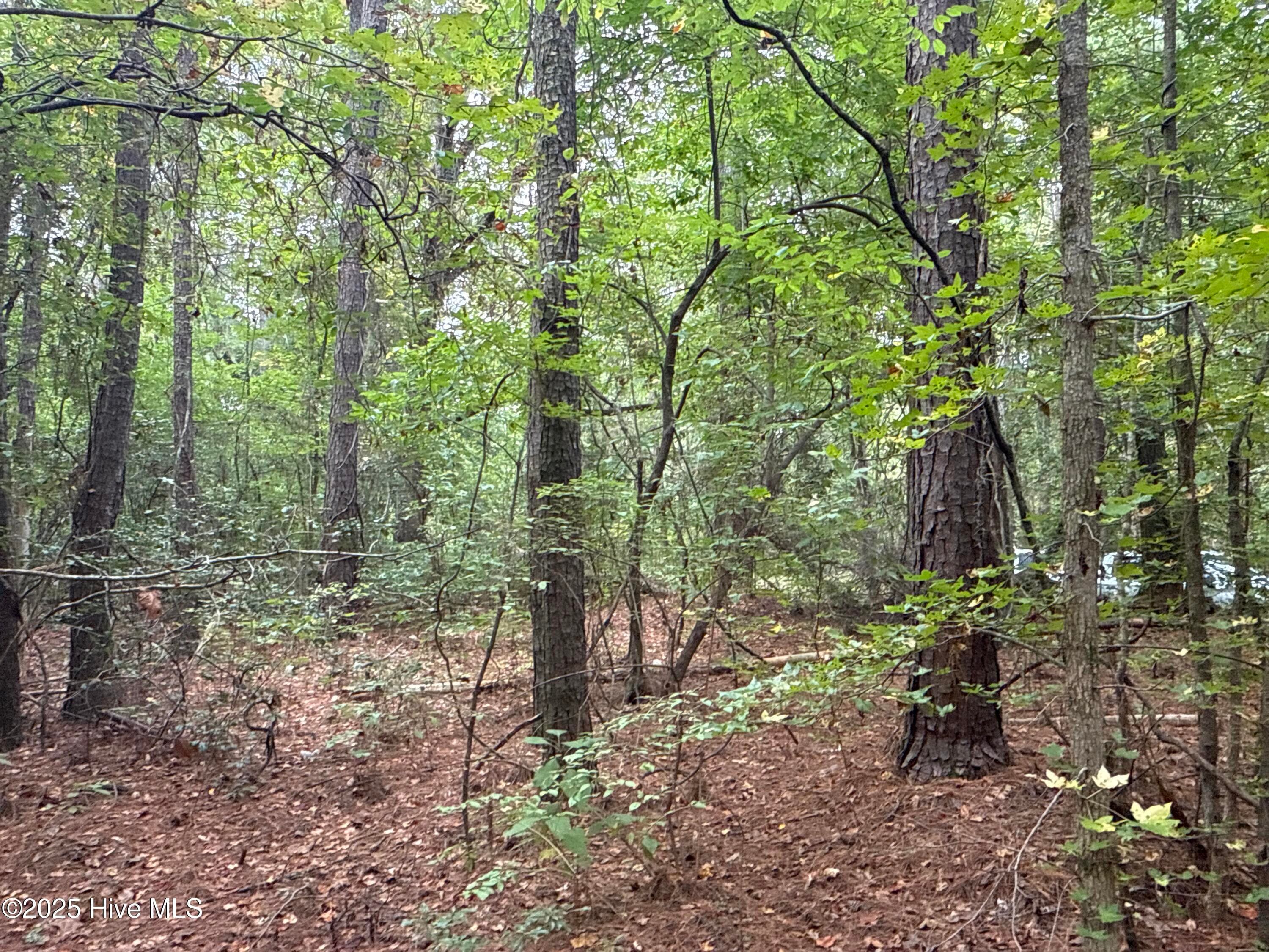 Recreation at 0 Creekmur Road, Edward, NC 27821, photo 10 of 13