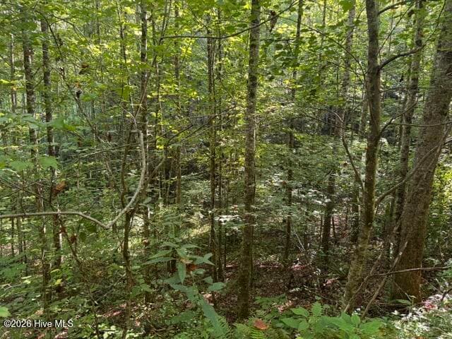 3 Tyler Lane, Marble, NC 28905