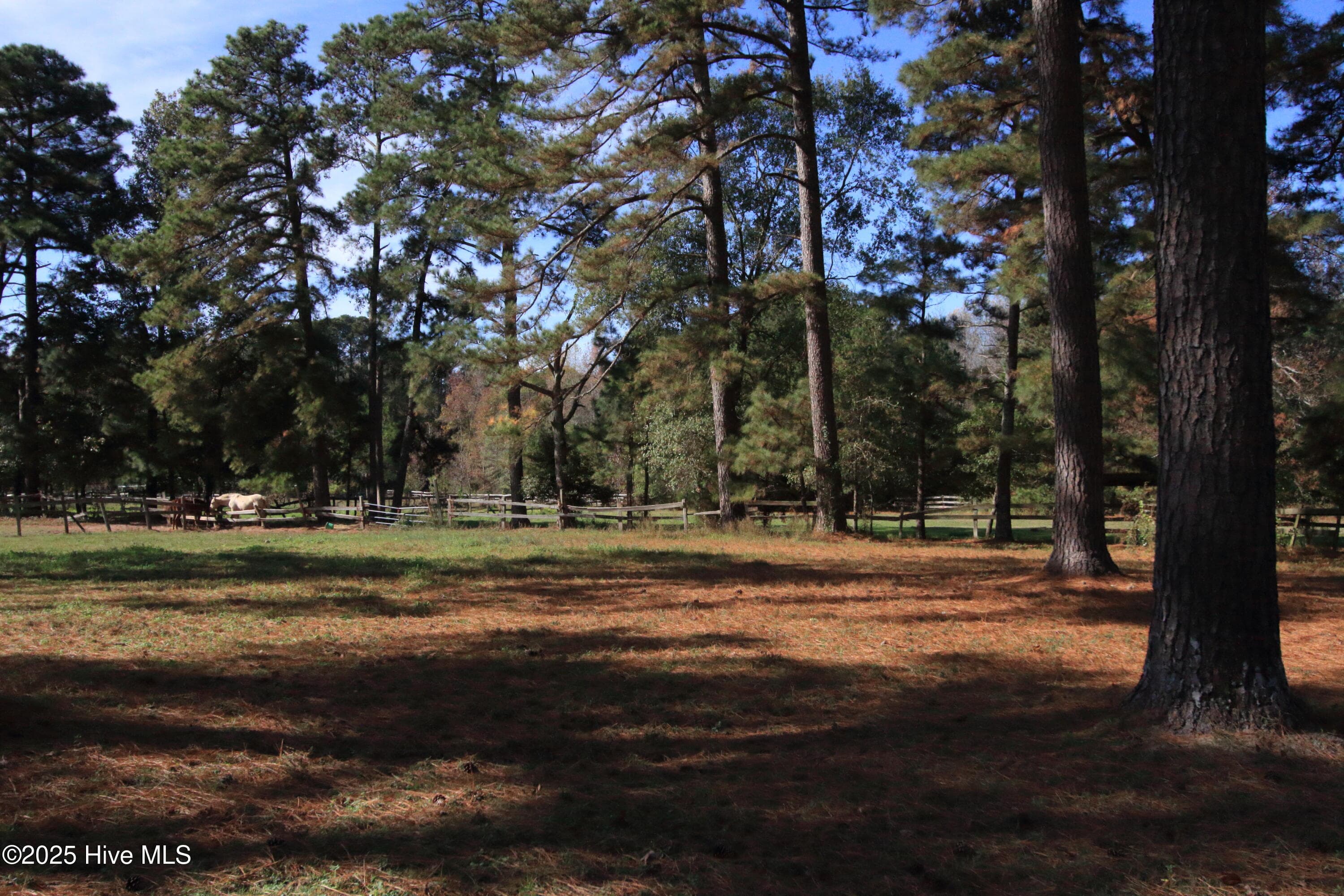 Single Family Residence at 00 Cedar Lane Road, Sanford, NC 27332, Sanford, photo 11 of 16