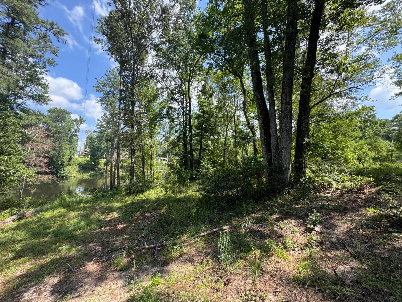 Residential Lot at 0 Hummingbird Drive, Trenton, SC 29847, photo 12 of 14