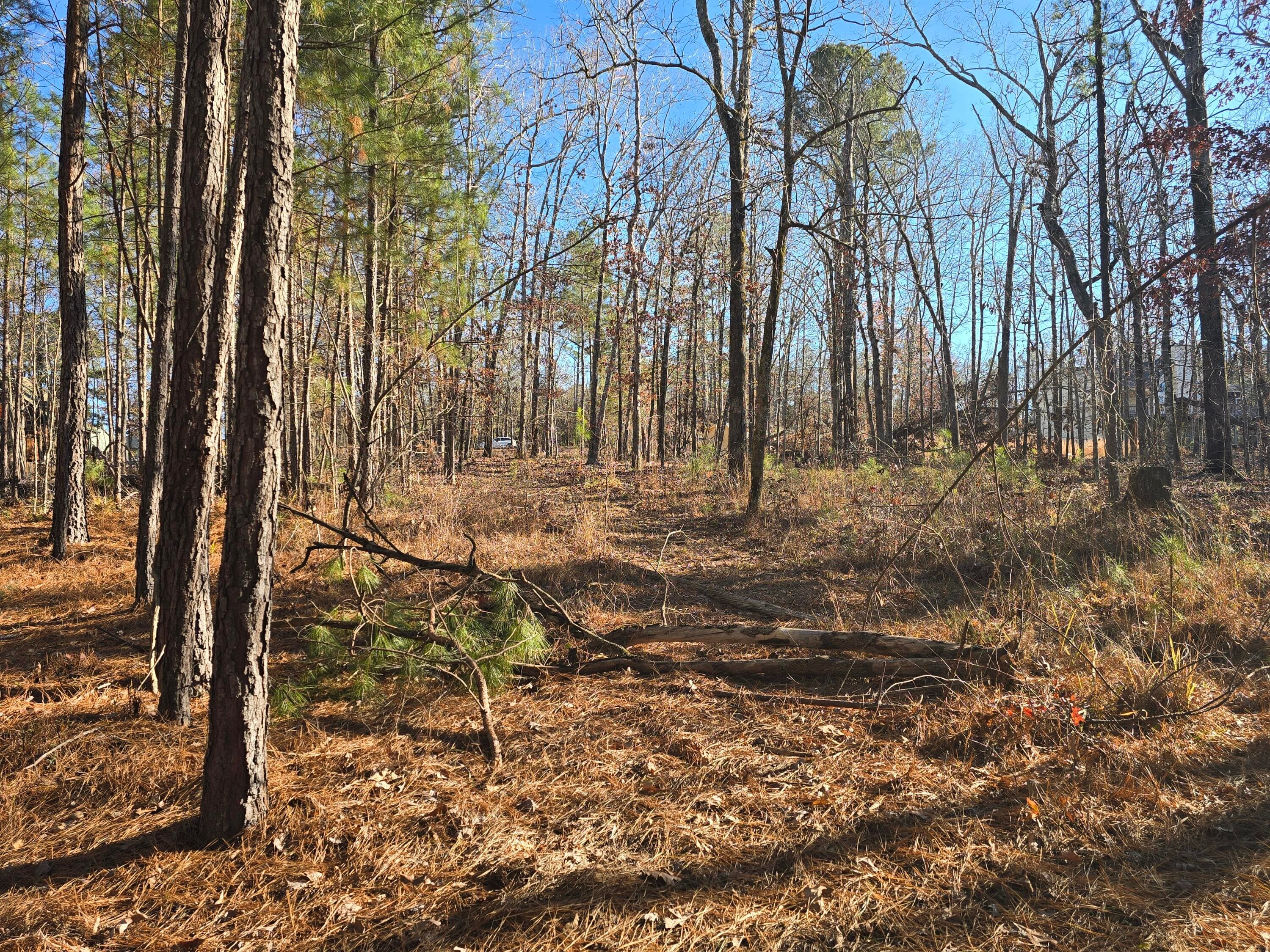 Residential Lot at 1102 Dogwood Drive, Lincolnton, GA 30817, photo 23 of 46