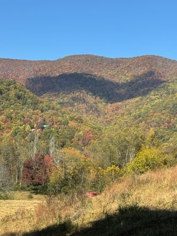 Undeveloped at 10617 Highway 64 E, Hayesville, NC 28904, Hayesville, photo 2 of 5