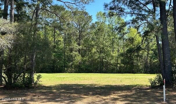 597 22 Lindgrove Place SW, Ocean Isle Beach, NC 28469