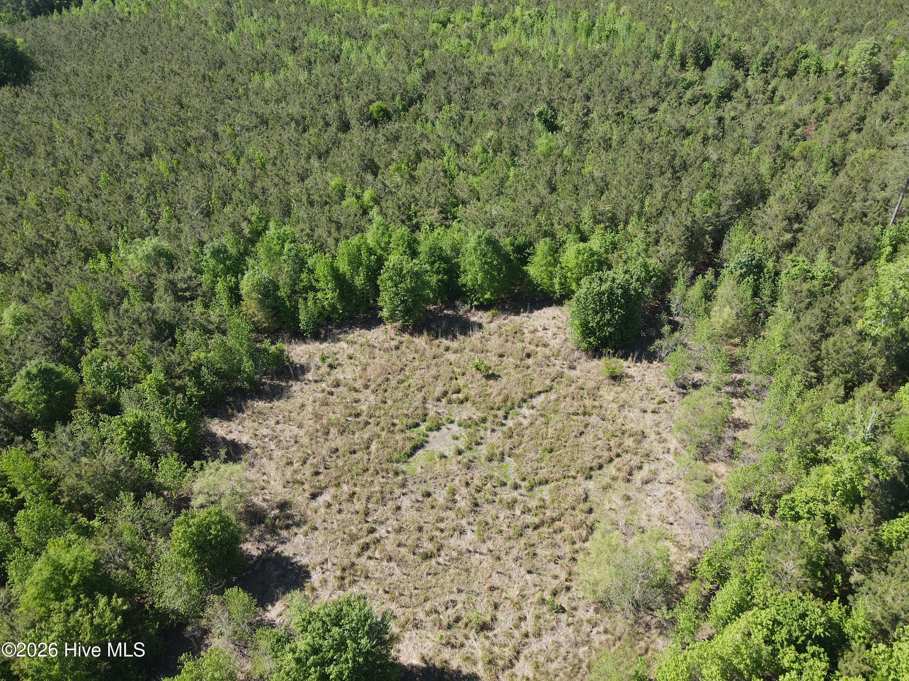 Undeveloped at 0 Colice Hall Lane, Ahoskie, NC 27910, photo 13 of 20