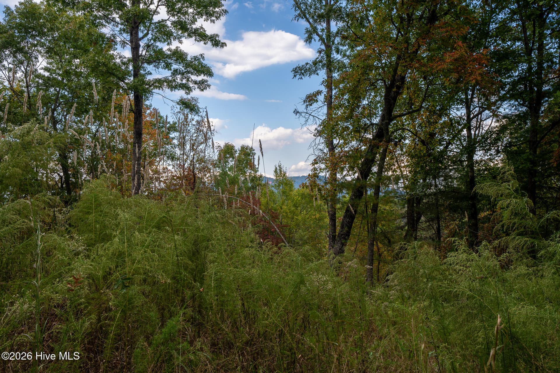 Wooded at Lot 22 Morris Ridge Drive, Murphy, NC 28906, photo 14 of 23