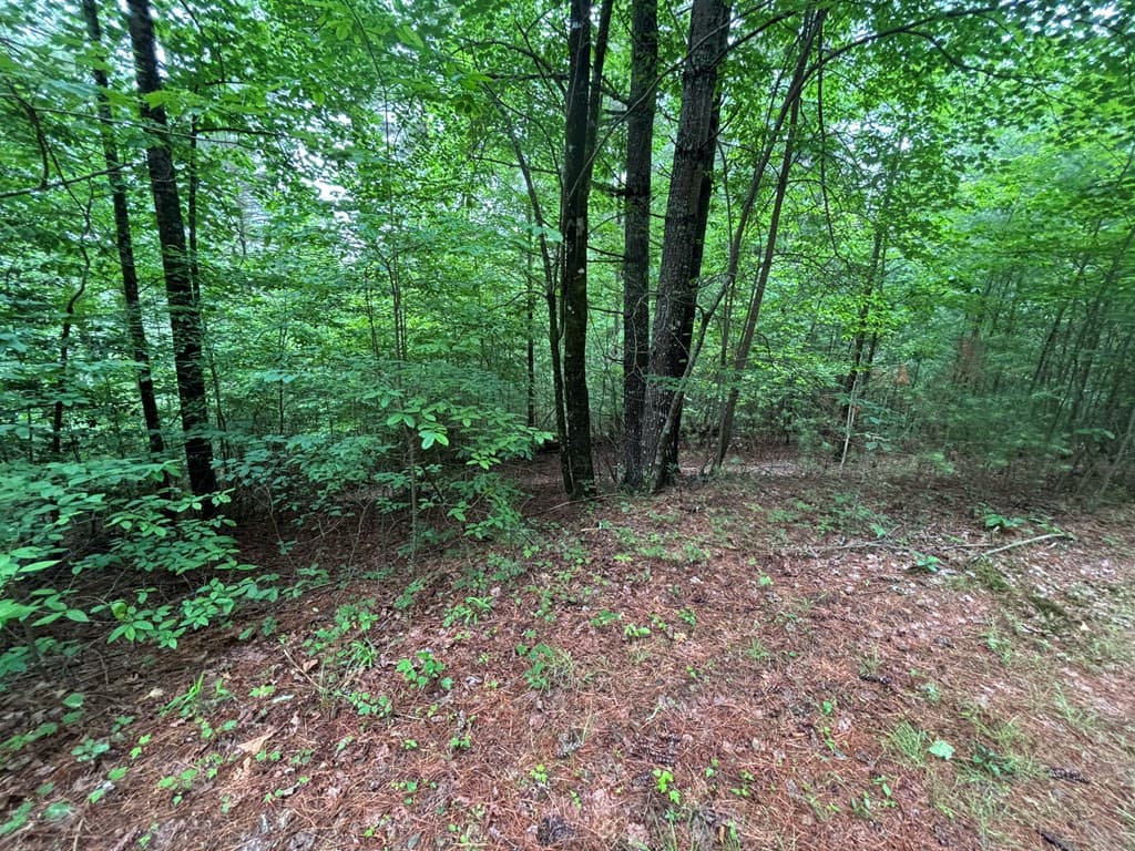 Land at Lot 11 Horse Camp Drive, Hayesville, NC 28904, Hayesville, photo 9 of 11