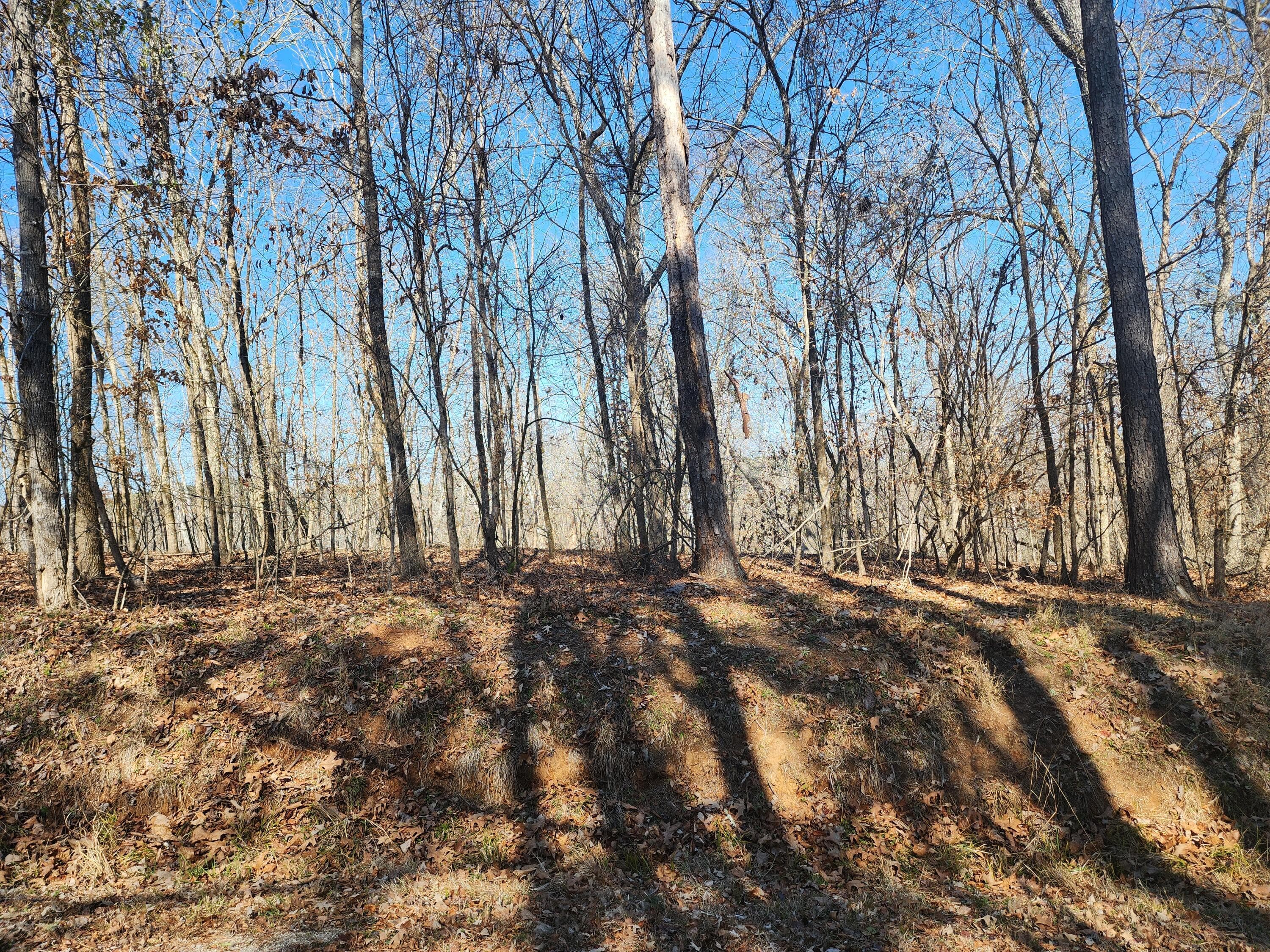 Residential Lot at 262 Goose Road, Clarks Hill, SC 29821, photo 2 of 2