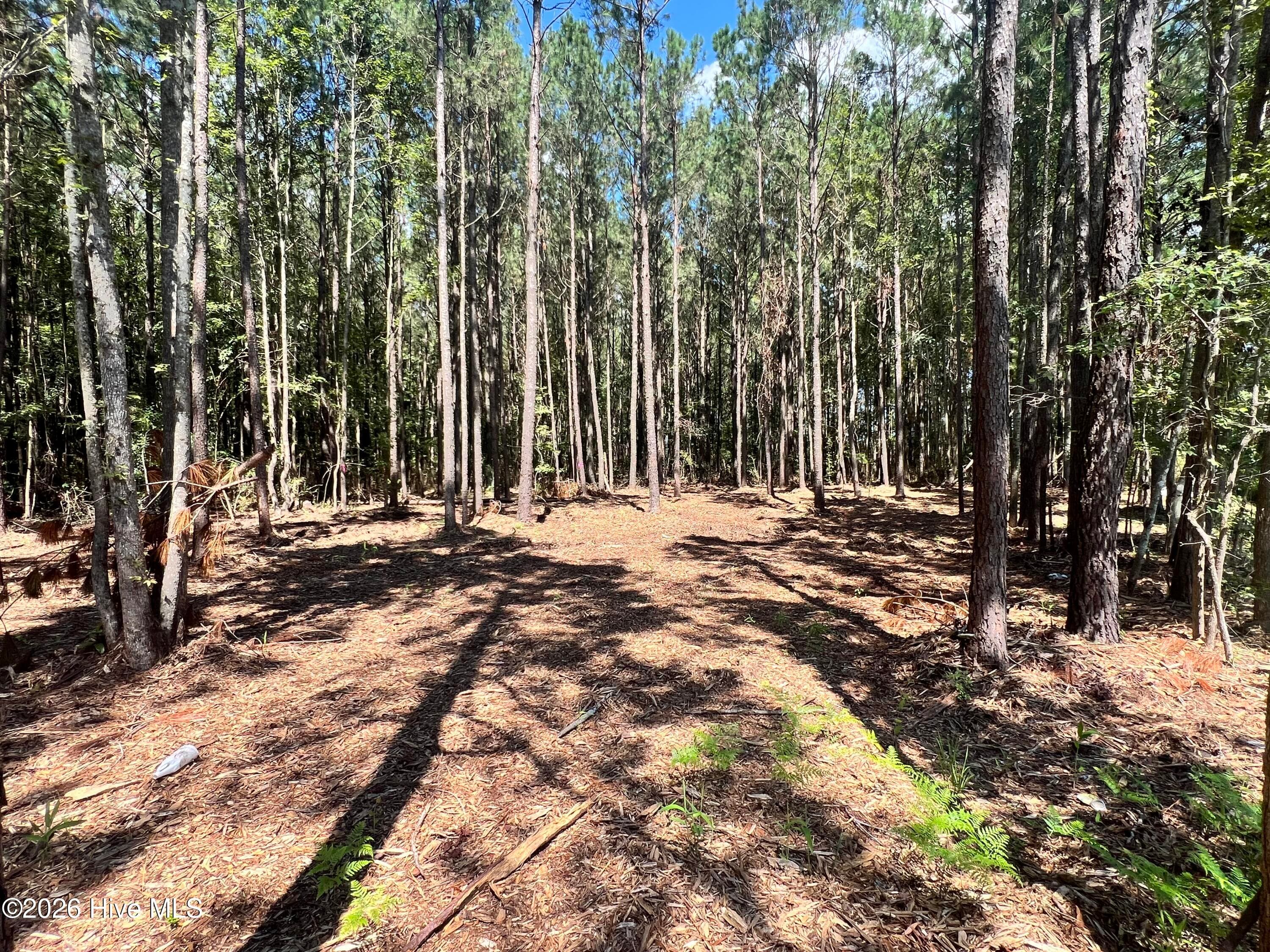 Residential Lot at Lot 1 Elm Street, Belhaven, NC 27810, photo 3 of 8