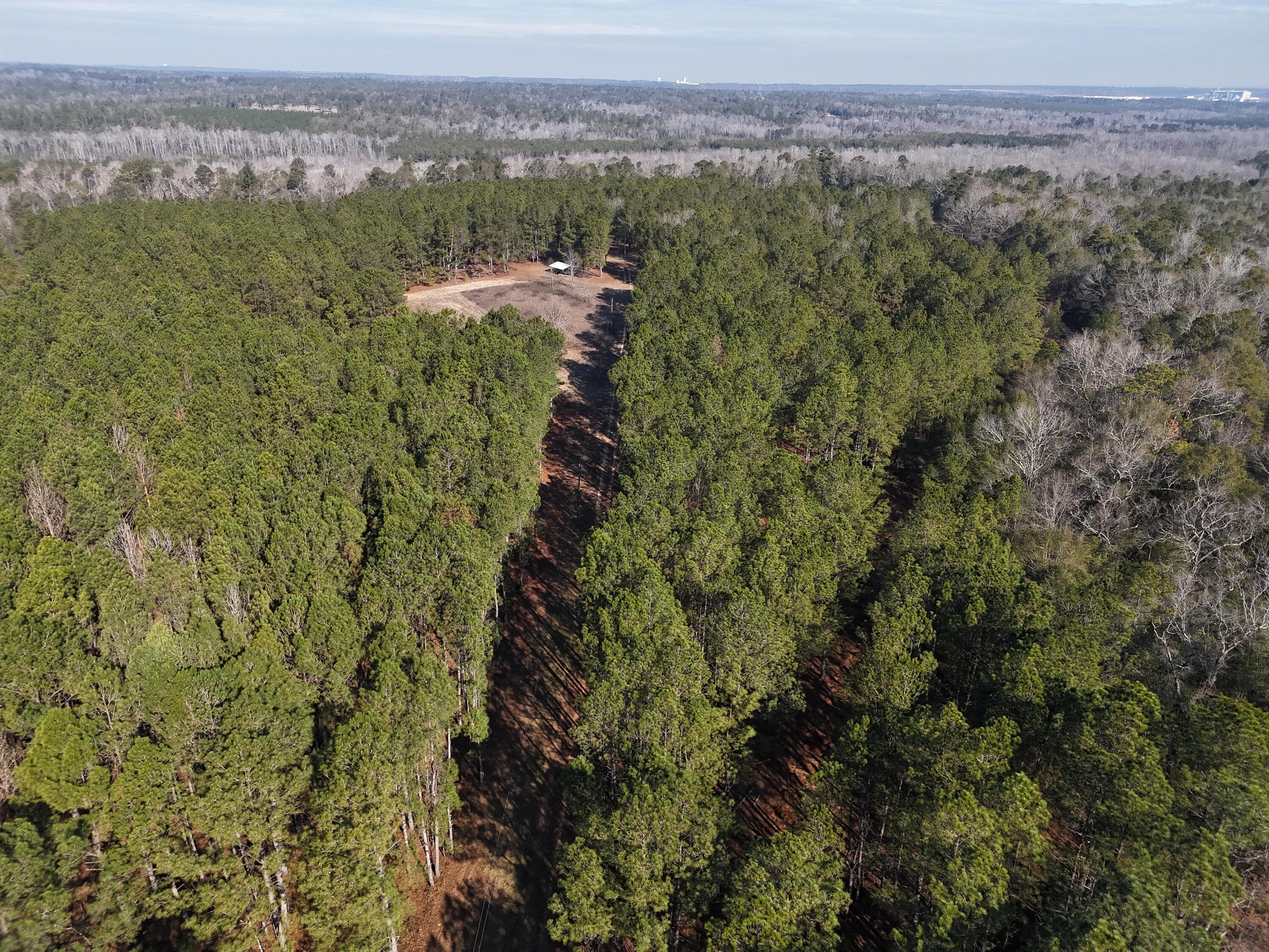 Undeveloped at 0 Ponderosa Road, Waynesboro, GA 30830, photo 6 of 45