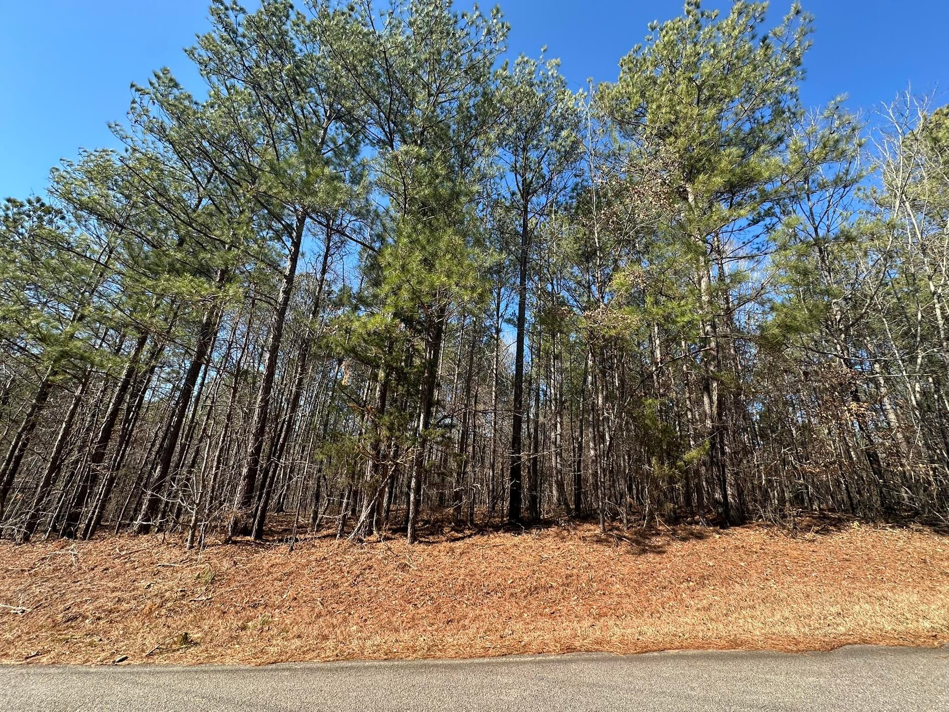 Lot 31 31 Willow Way, Lincolnton, GA 30817