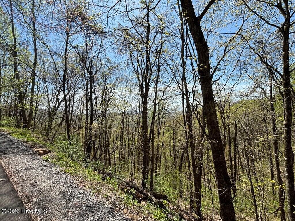 Wooded at Lot 4 Outlook Road, Murphy, NC 28906, photo 7 of 10