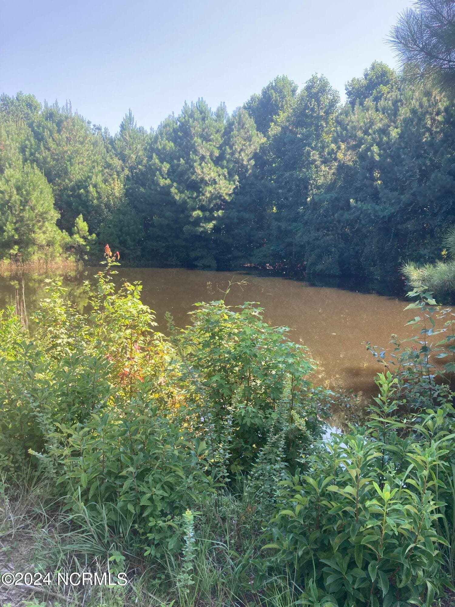 Undeveloped at 3047 Bass Landing Road, Edenton, NC 27932, Edenton, photo 10 of 19