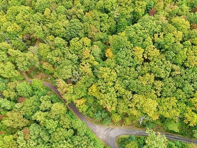 Residential Lot at Lot 31 31 Skyview Trail, Hayesville, NC 28904, Hayesville, photo 9 of 11