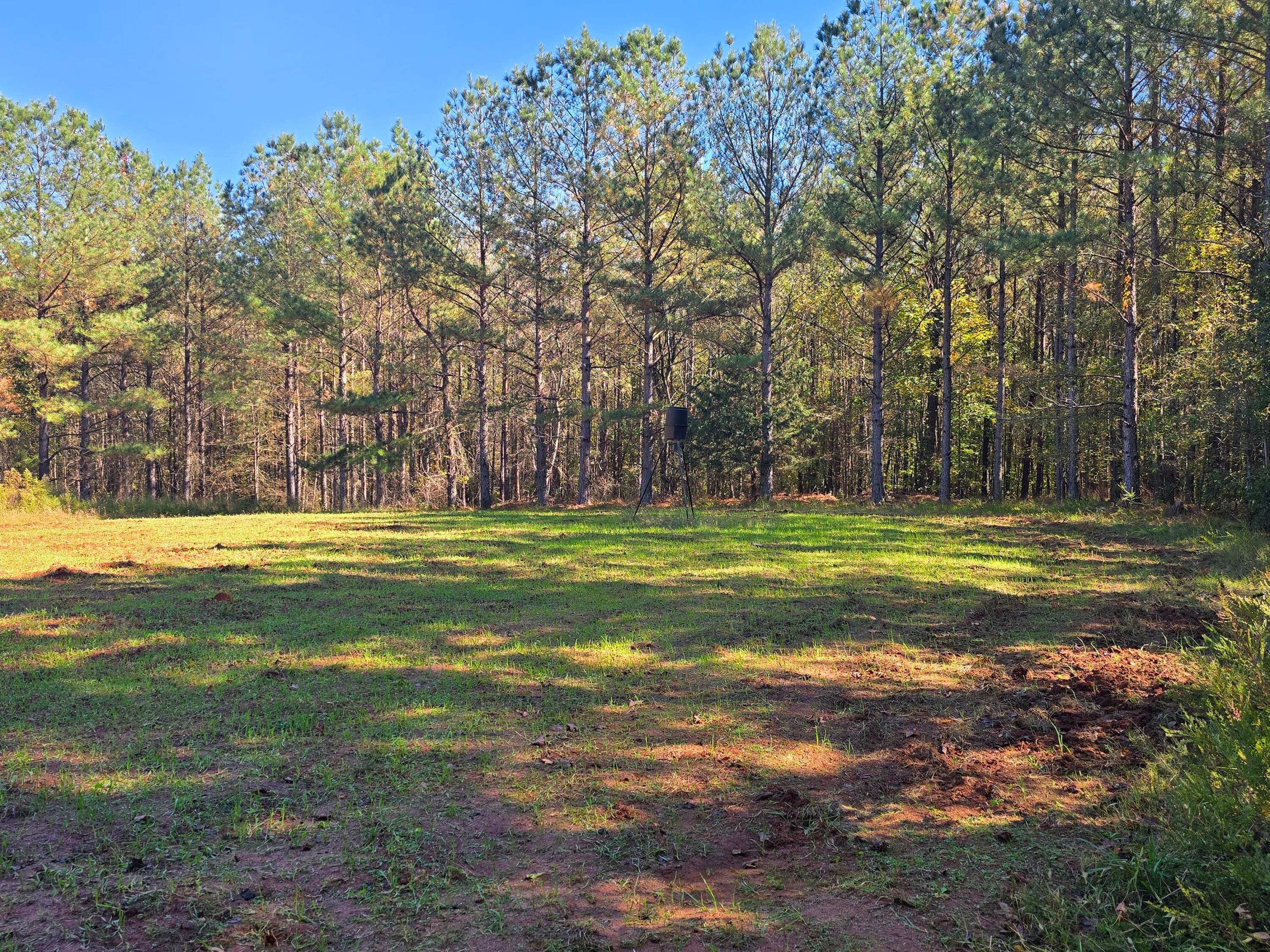Mixed Use at 7501 Rainey Morris Road, Appling, GA 30802, photo 36 of 47