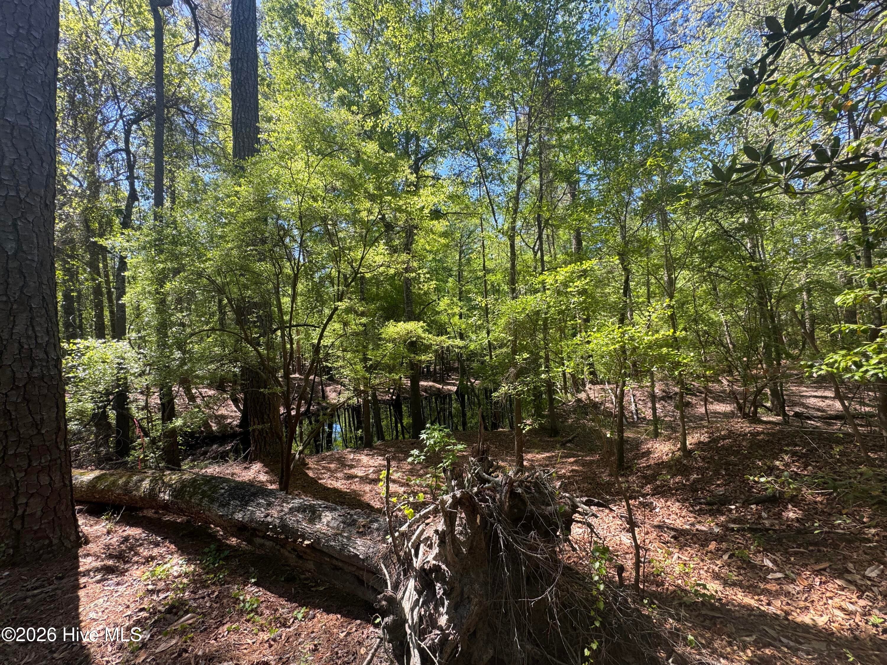 Undeveloped at 5, 6, 7 53 Off Highway, Atkinson, NC 28421, photo 9 of 12