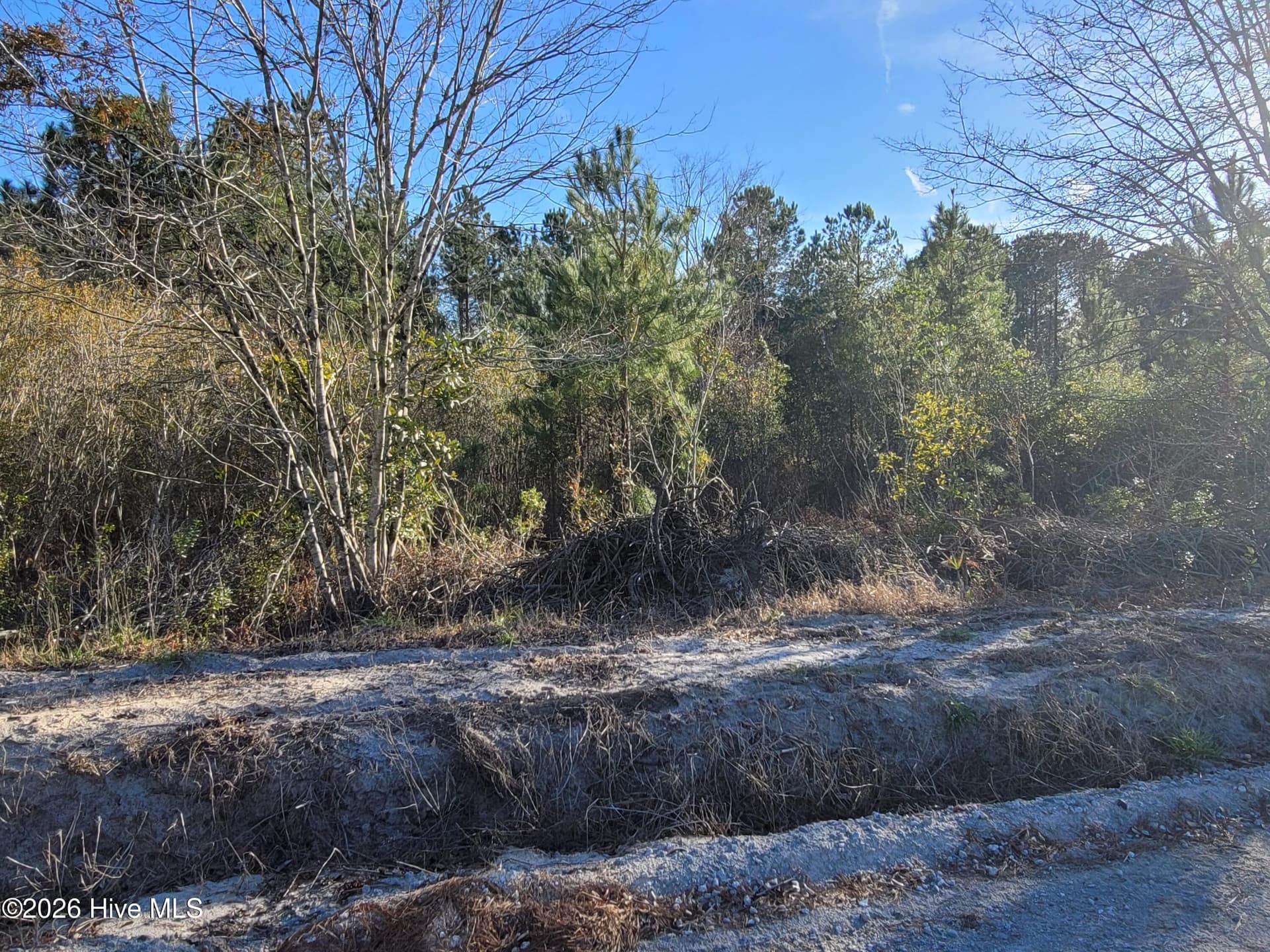 Farm at Tbd 1 total Log Cabin Road, Loris, SC 29569, photo 13 of 14