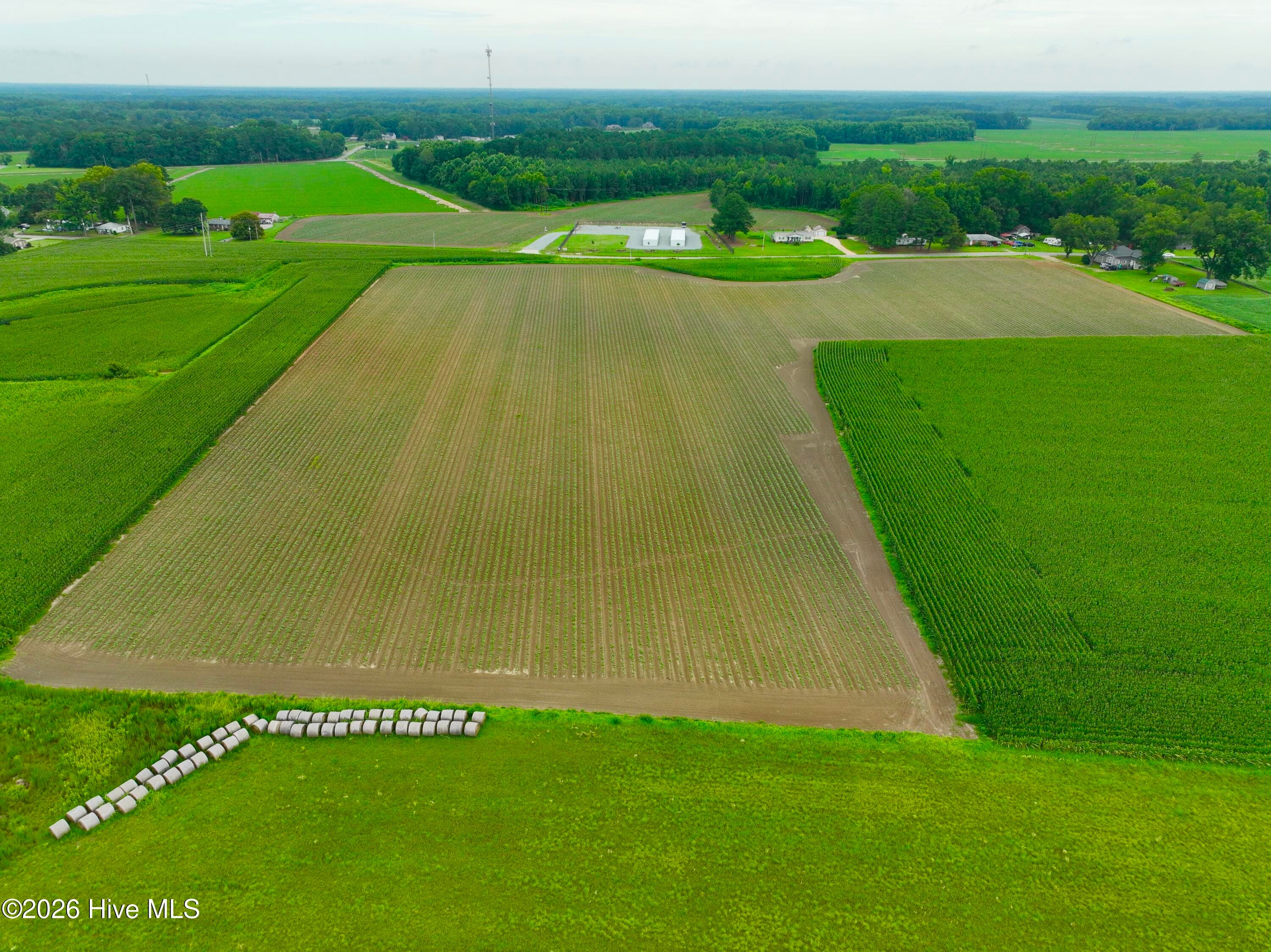 Farm at 478 Davis Mill Road, Fremont, NC 27830, photo 9 of 21