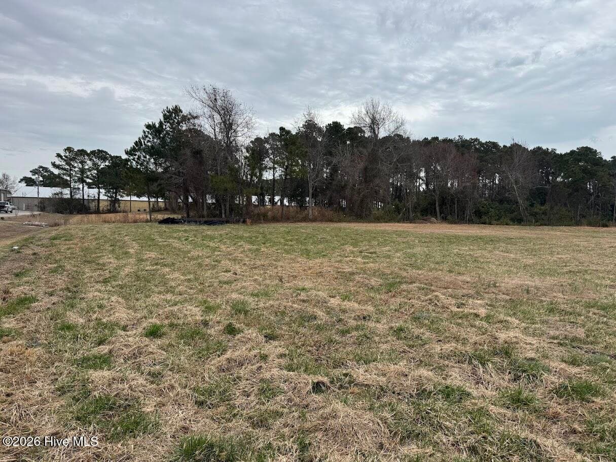 Undeveloped at 0 Horton Drive, Morehead City, NC 28557, Morehead City, photo 2 of 5