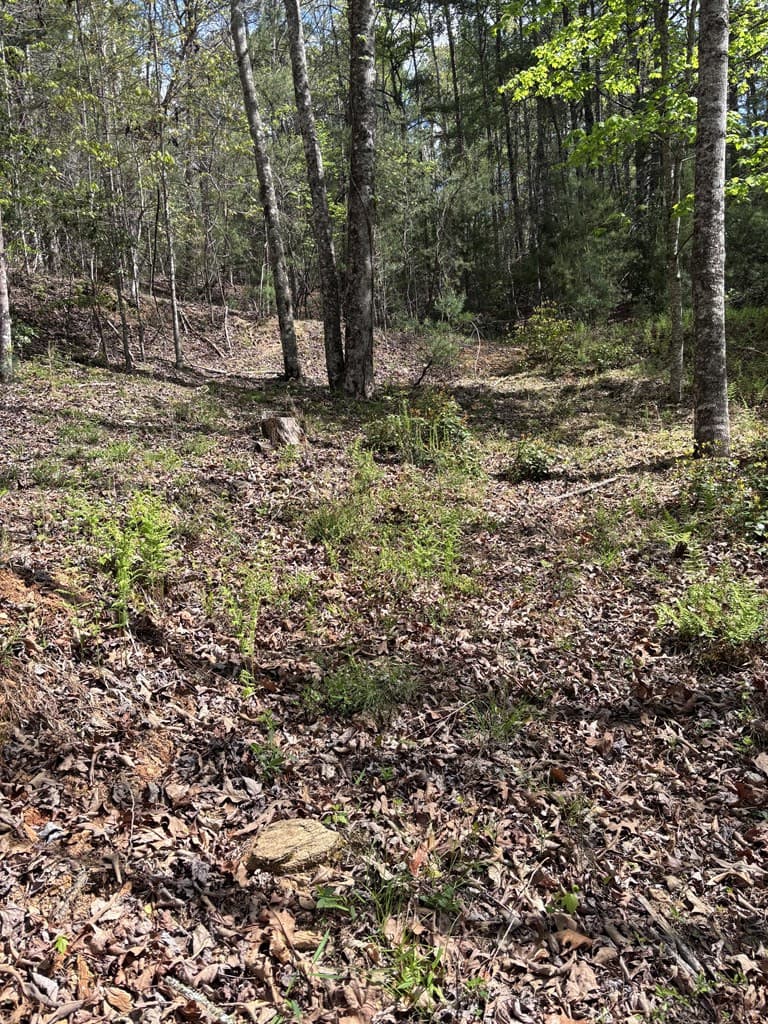 140 Hounds Run Lane, Murphy, NC 28906