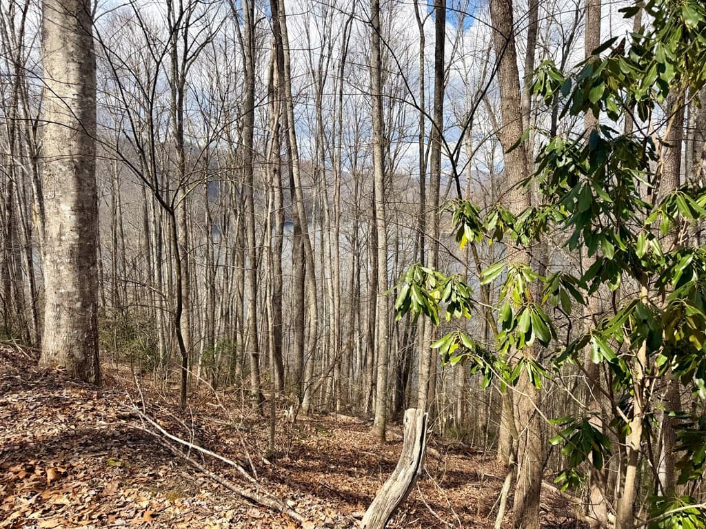 Residential Lot at Lot #12 12 Lake Vista Circle, Topton, NC 28781, photo 6 of 8