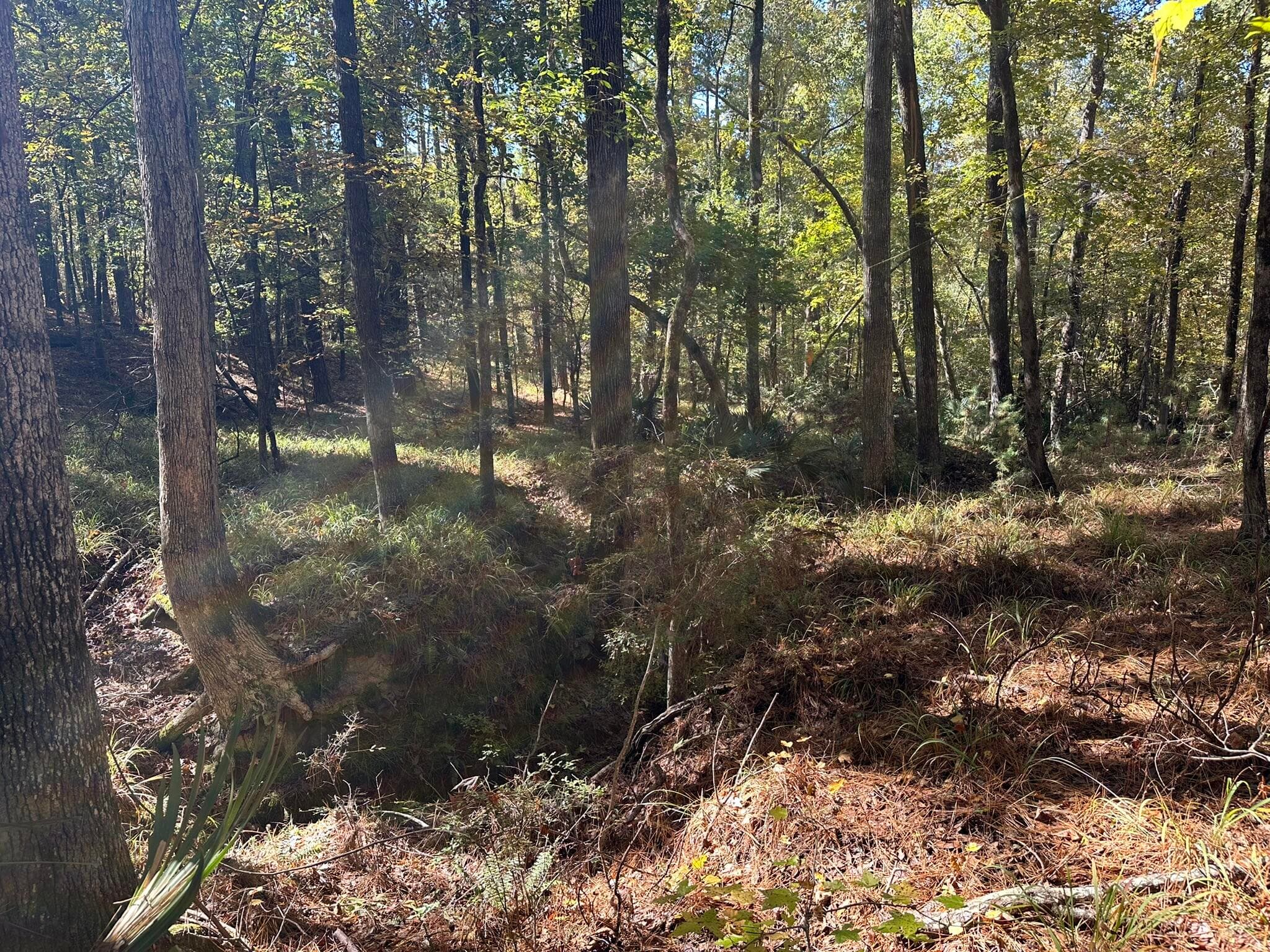 Residential Lot at 167 7 Southwind Drive, McCormick, SC 29835, photo 12 of 18