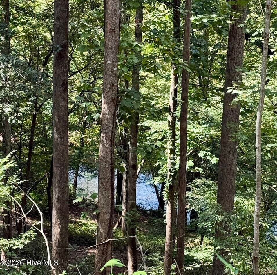 Residential Lot at Lots 5 & 6 Jasmine Drive, Marble, NC 28905