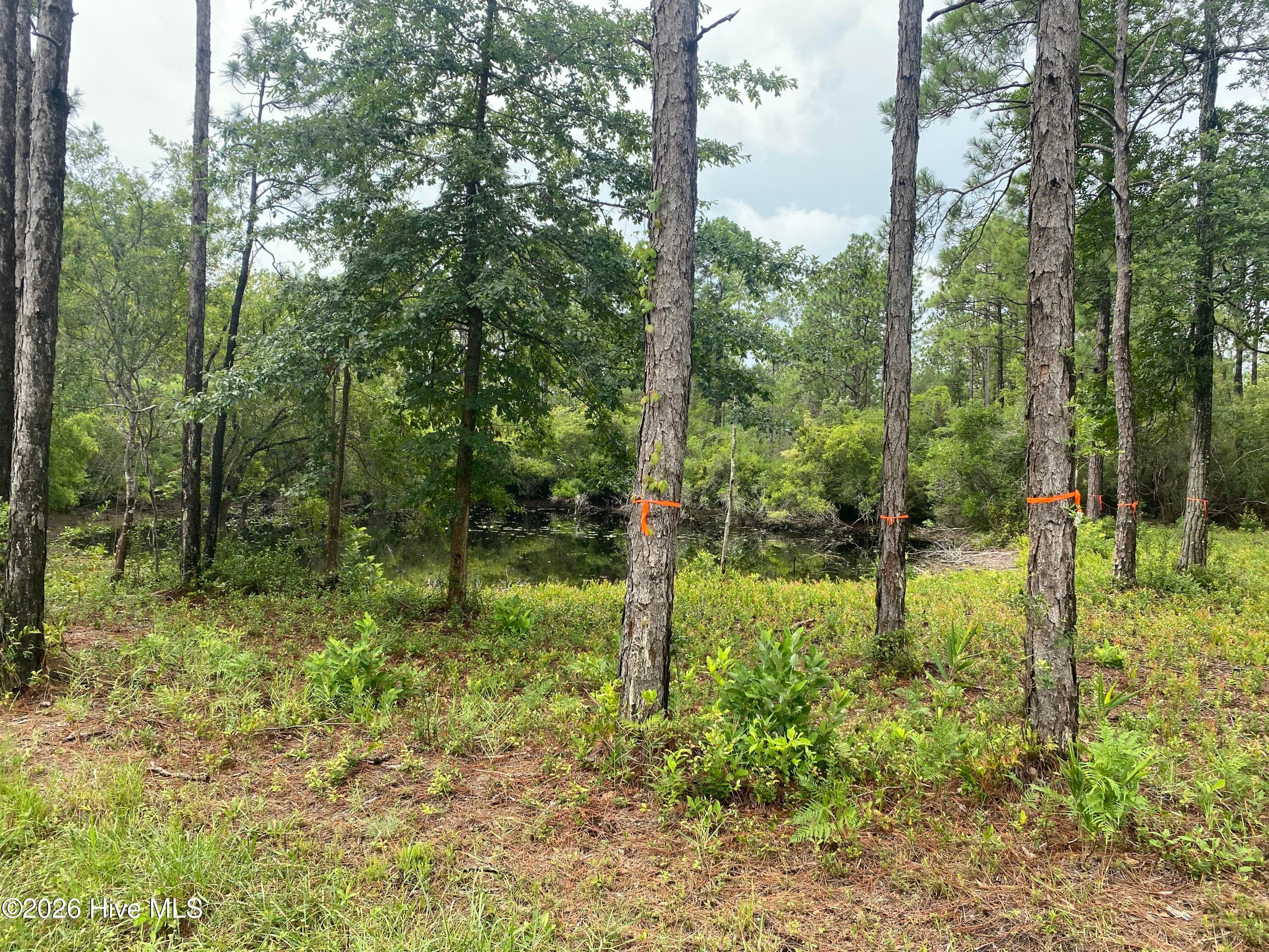 120 Dixon Road, Boiling Spring Lakes, NC 28461